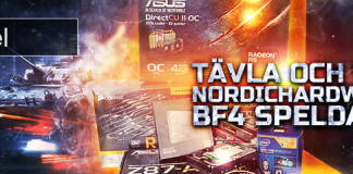 BF4-dator_717