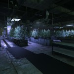 BFH_Growhouse_003