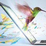 Ultrabook_Hummingbird