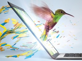 Ultrabook_Hummingbird
