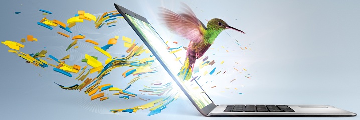 Ultrabook_Hummingbird