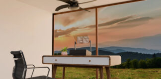 Visual Instruments Phantom