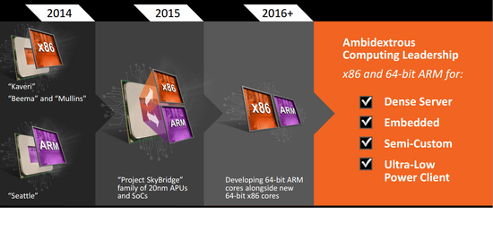 amd-skybridge-roadmap-2-100266192-orig