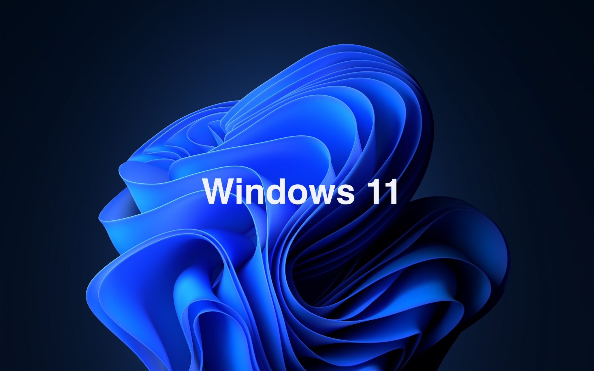 Windows 11 Windows 10